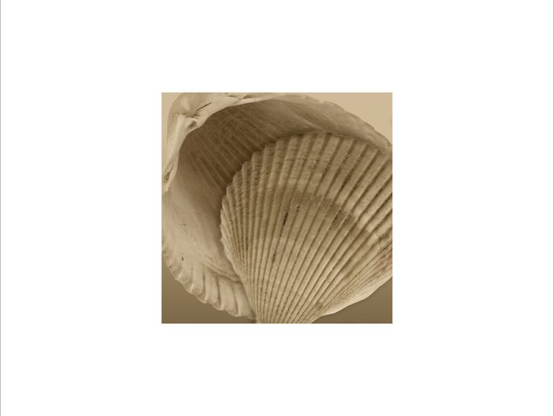 AL00298