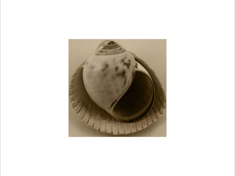 AL00301