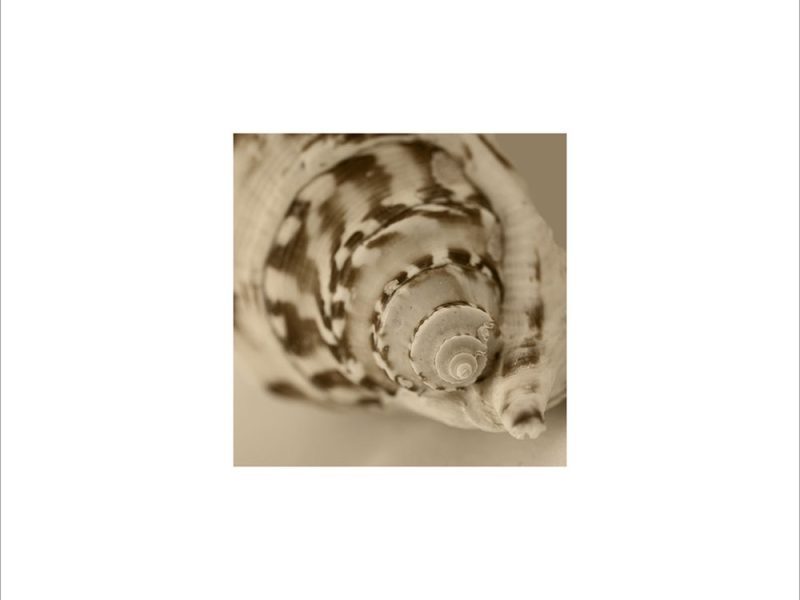 AL00303
