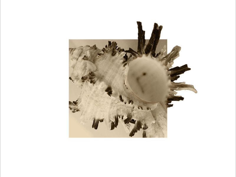 AL00362