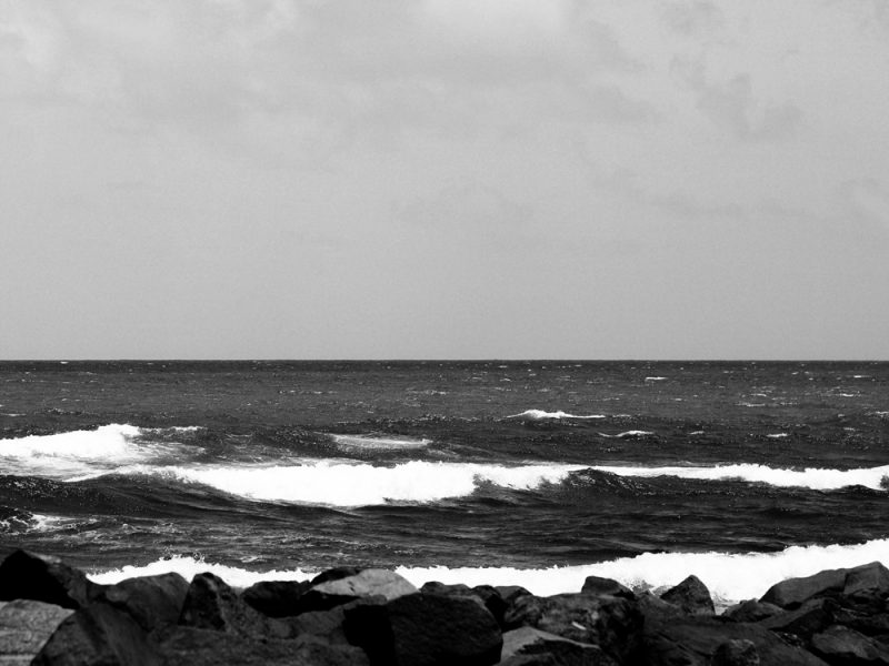 AL01615 more colors