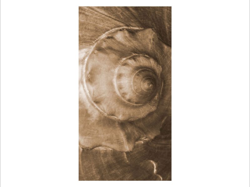 AL02959
