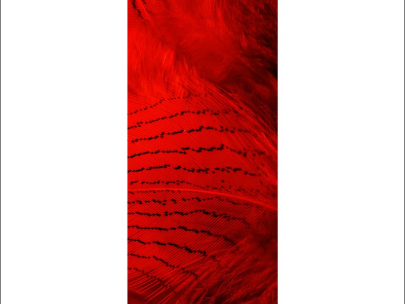 AL04324