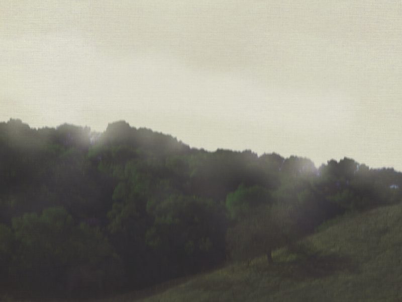 AL04513_B