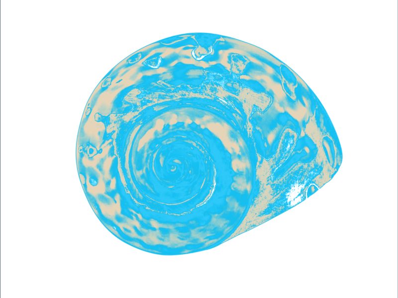 ALK00031