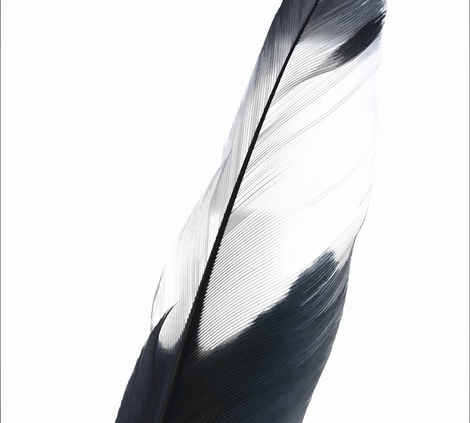 AL12425