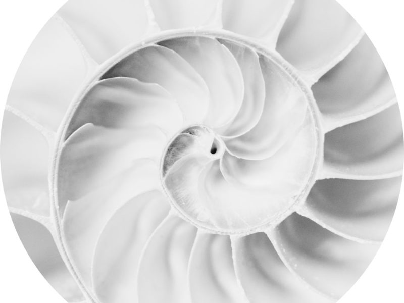 AL16237BW_CI