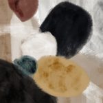 AL25735