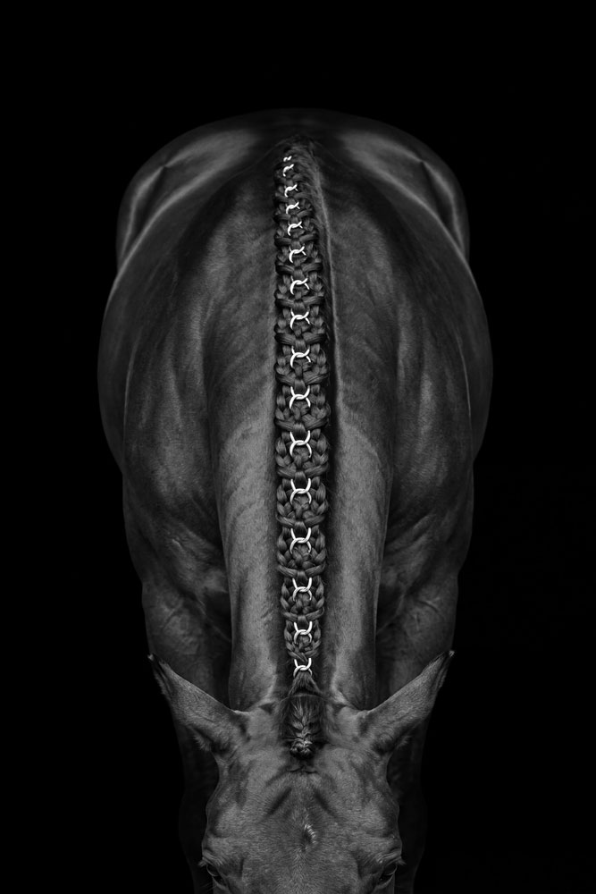 AL25869